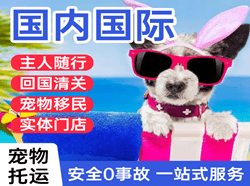 哈尔滨机场邮寄国际宠物托运 【国
